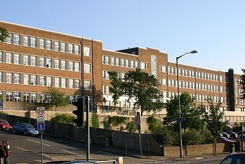 布莱顿大学