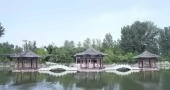 三师一体教学模式