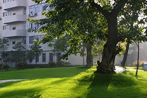 电子科技大学加拿大国际课程校园一角