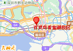 百灵鸟香蜜湖校区