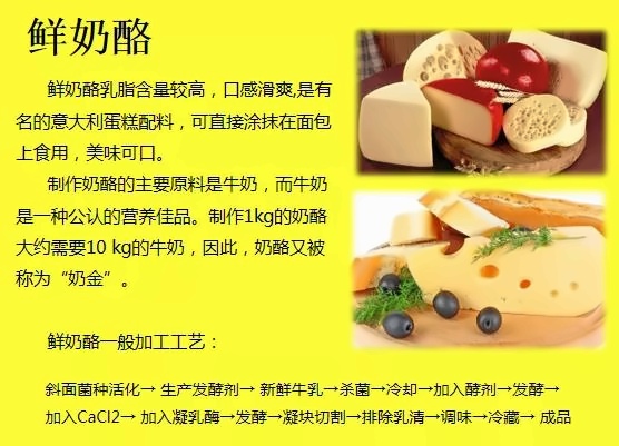 鲜奶酪.jpg