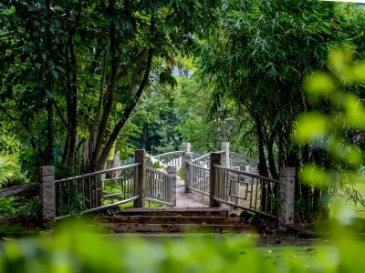 深圳市弘毅高级中学-智胤DSE校园环境