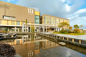 广州荔湾爱莎外籍人员子女学校国际高中艺术课程招生简章