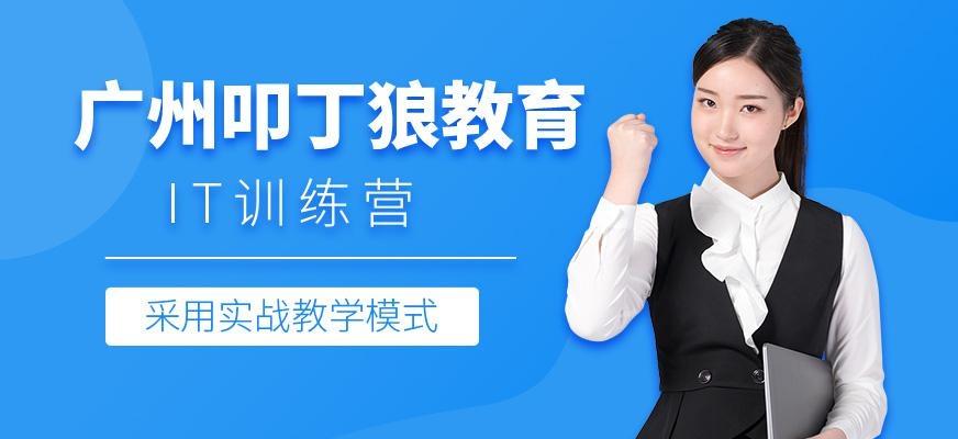 广州叩丁狼教育
