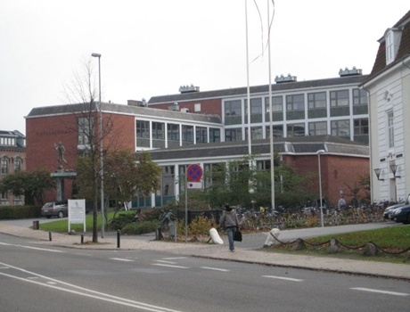 蒂根商学院