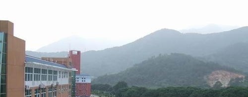 福州科技职业技术学院单招2019年单独招生录取分数线