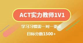 ACT一对一