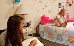 善道泉预备学校