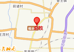 总校
