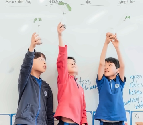 鼎石小学