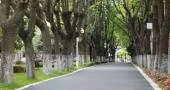 百年英式学校基因