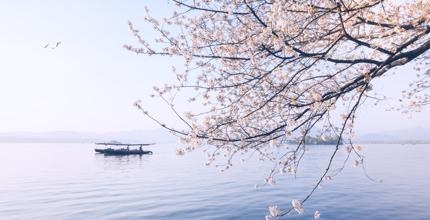 勇于追求