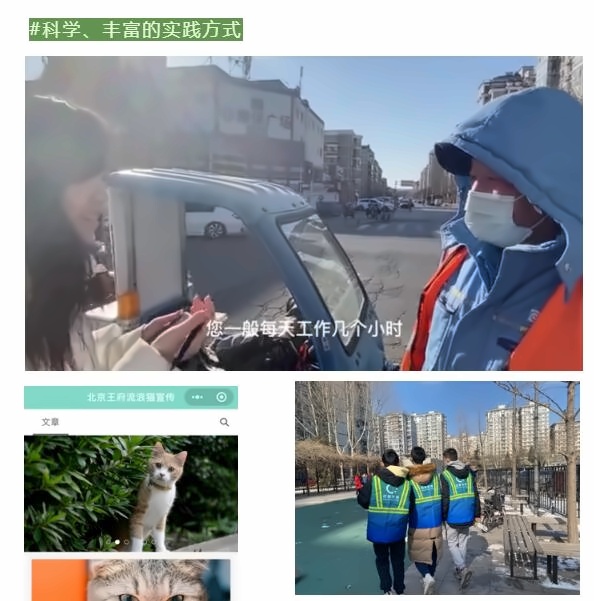 北京王府学校3.jpg