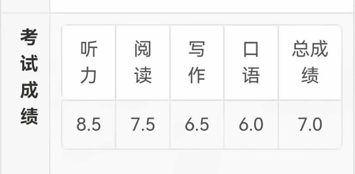 雅思成績