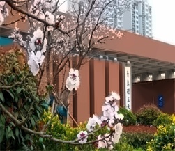 青岛理工大学校园风光