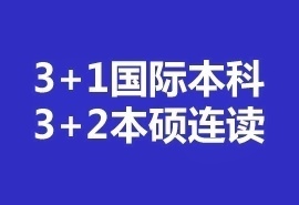 SQAAD(3+1)国际本科留学项目招生简章