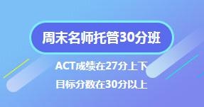 周末托管30分班