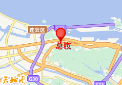 总校