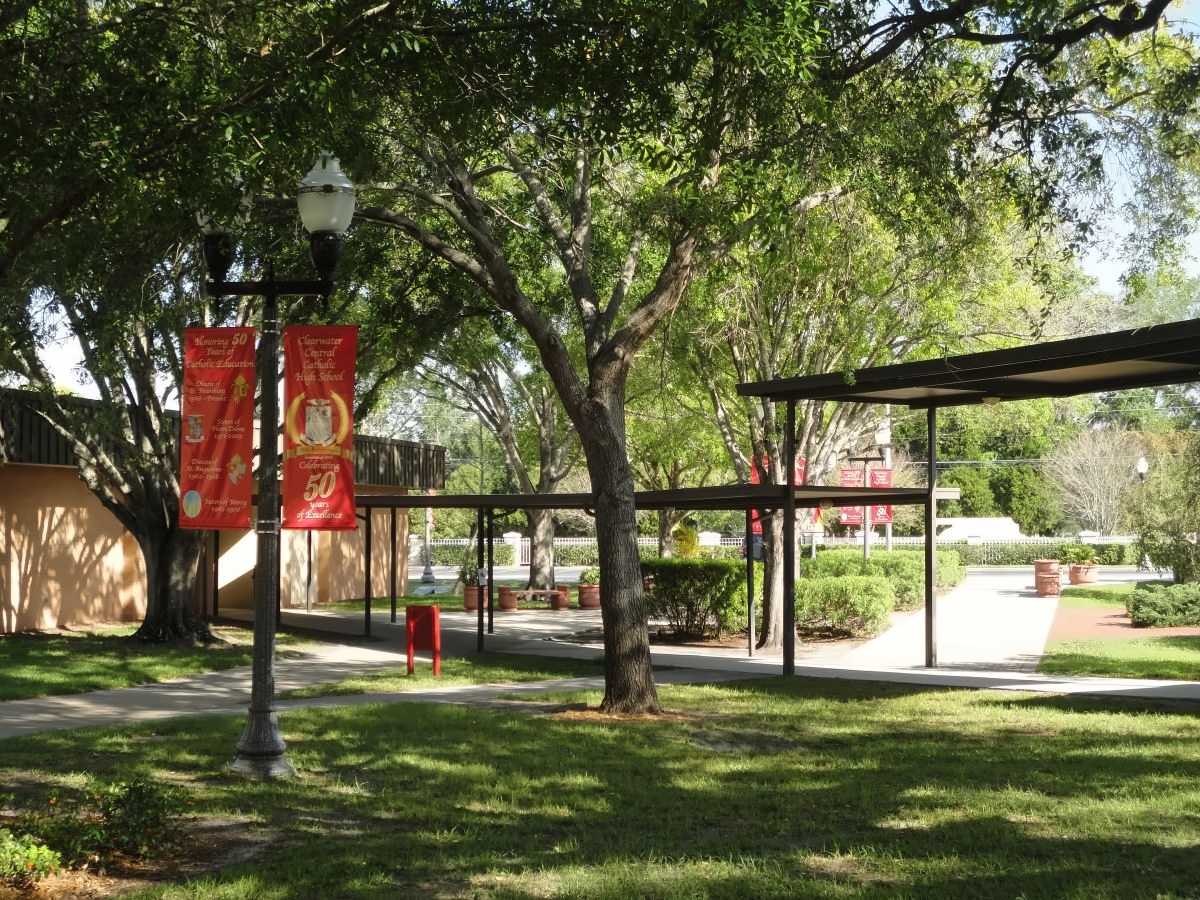 学校周边