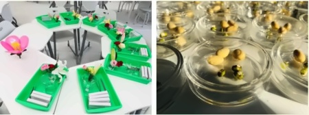 生物实验.jpg