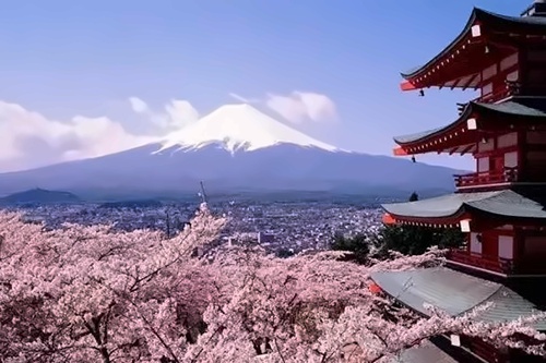 贝拉国际高中
