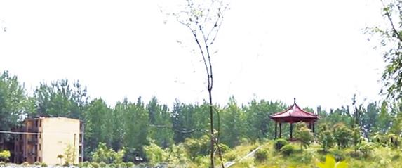 徐州爱尔国际学校2020年招生简章