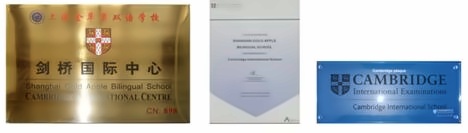 英国剑桥国际高中课程**.jpg