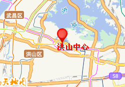 洪山中心