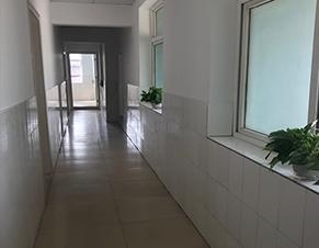 学校长廊