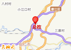 总校