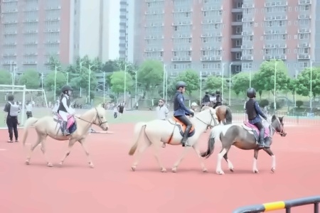 校园艺术节活动.jpg