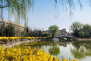 青岛通济实验学校国际部人工湖春景