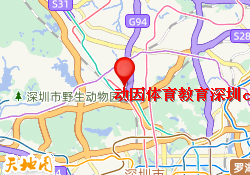 动因体育教育深圳coco city校区