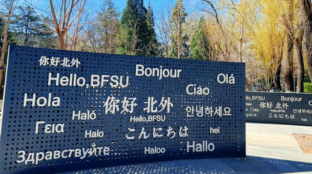 北京外国语大学国际课程中心