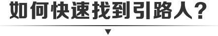 师资力量