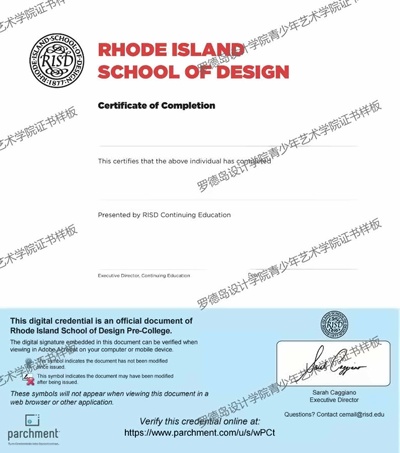 RISD官方颁发的结业证书.jpg