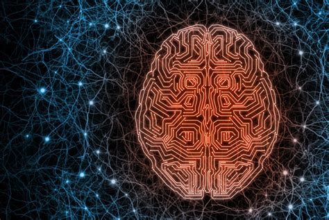 电子信息科学与技术