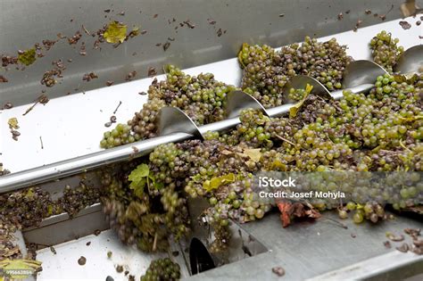 药酒炮制特色课程