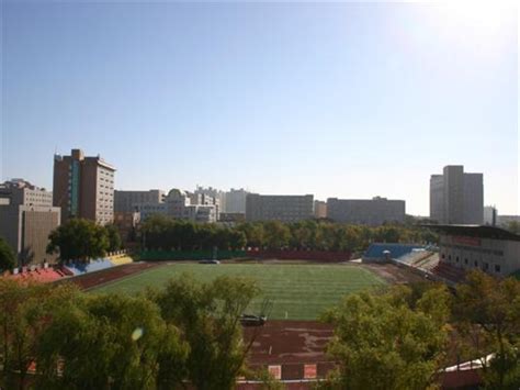 东北农林大学学历提升网络课程