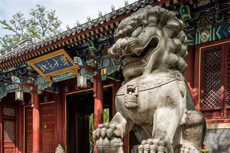 北京大学医学网络教育学院网络课