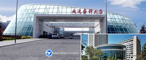 大连广播电视大学成考专升本课程