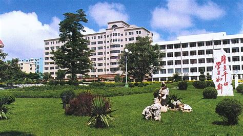 辽宁省统招专升本课程