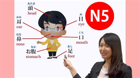 日语基础全能课程