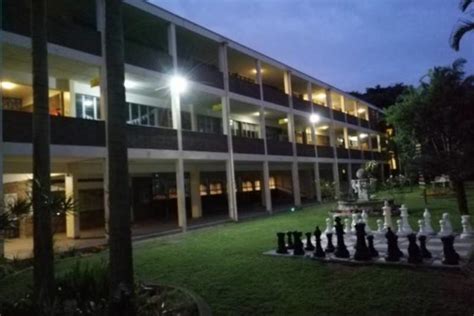 小学晚班指导精品课程