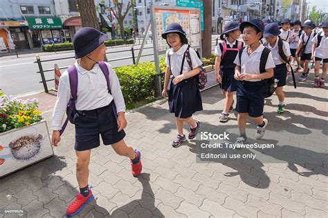 日语初级精讲课程