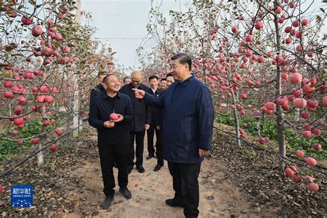 陕西振兴计划笔试课程