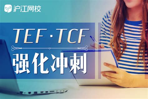 TEF/TCF强化提升课程