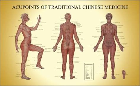 中医针灸特色课程