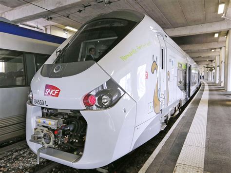 法语留学直通车0-B1课程