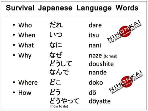 新日本语教程初级一册课程